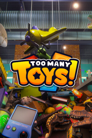 Too Many Toys!