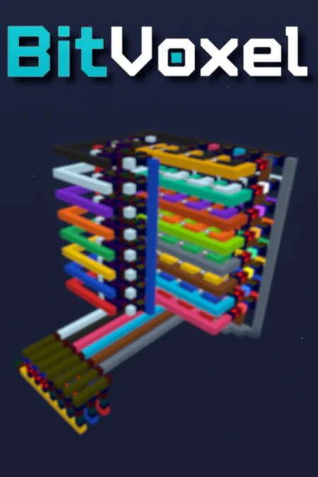 BitVoxel