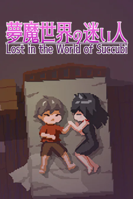 Lost in the World of Succubi