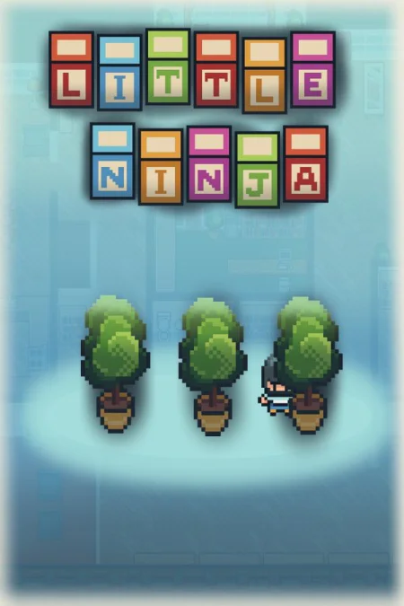 Little Ninja