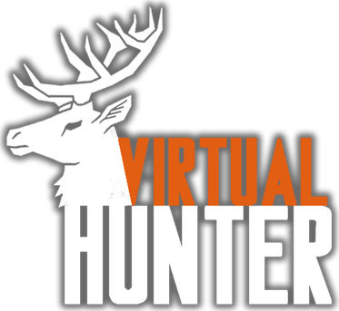 Логотип Virtual Hunter