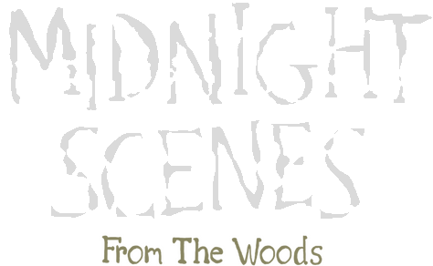Логотип Midnight Scenes: From the Woods