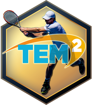 Логотип Tennis Elbow Manager 2